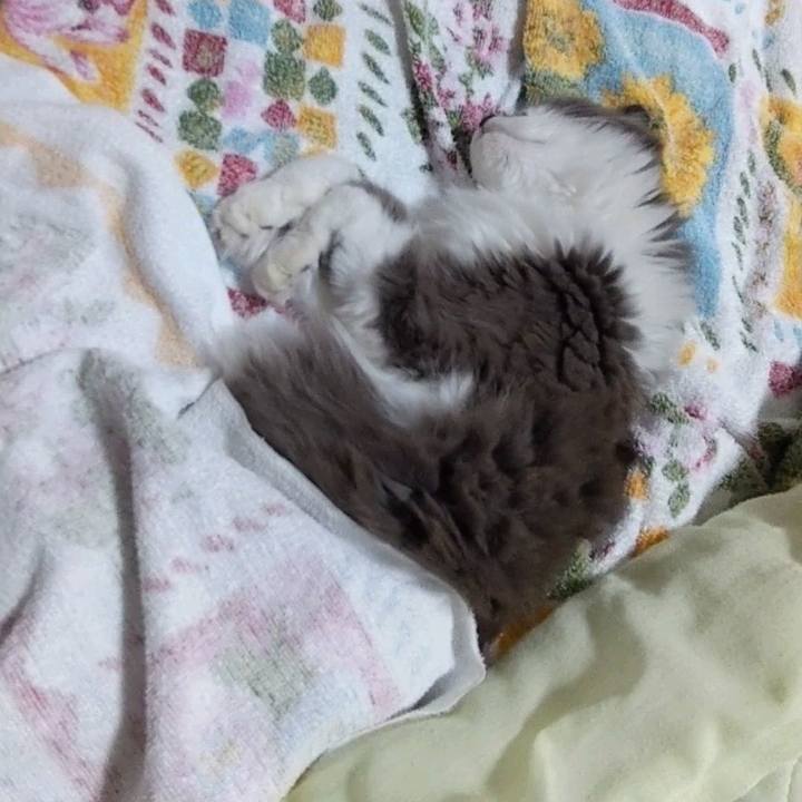 73078941 4bd5 4d29 a0ed 49d9a6b5e43b 1664659536516