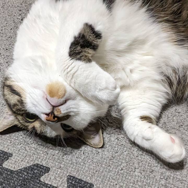 7307b06a d20e 4dac 8bc5 0fcd92606706 1690283768757