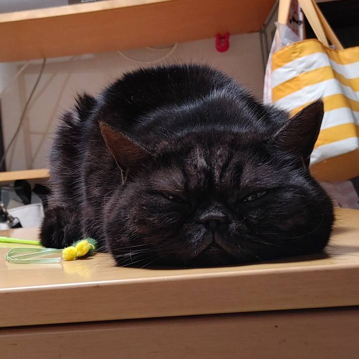 7307b85c b75f 47b1 bb05 5297c6c98f0c 1639658297517