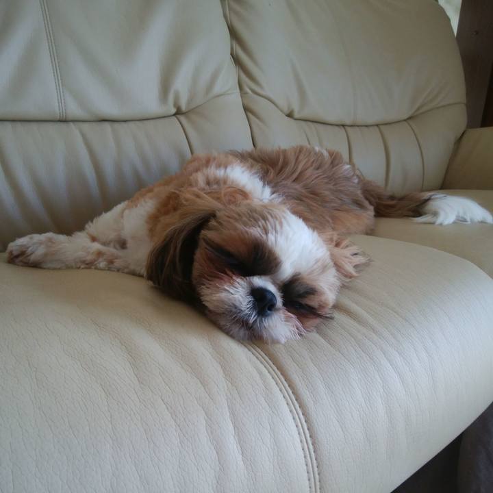 730847b0 134b 42ff bc33 7f00491e2ec7 1551401535407