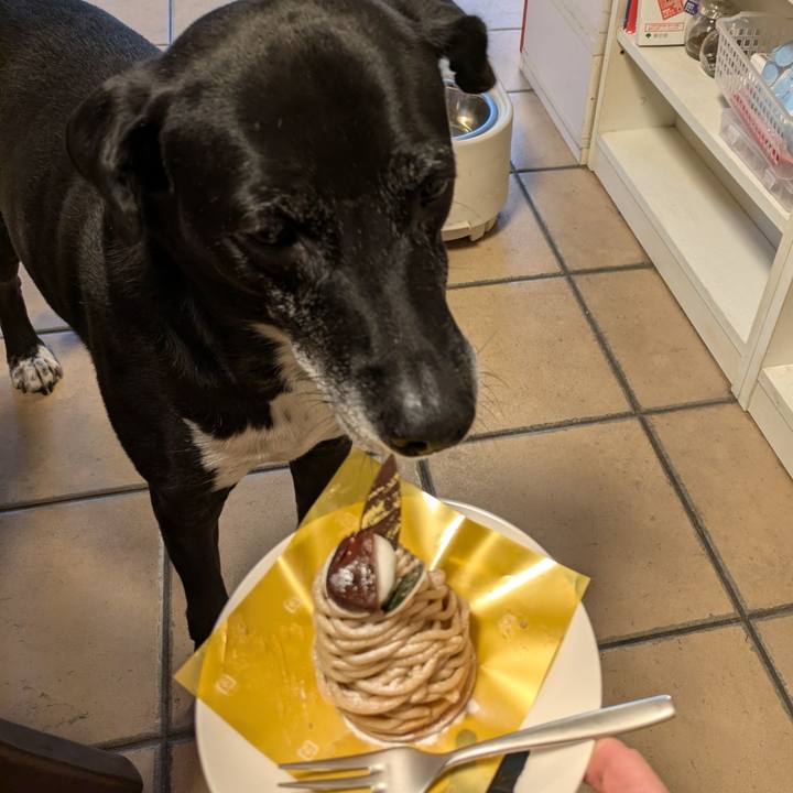 7308614e f162 4189 91e8 f9078c72c84d 1730201667436