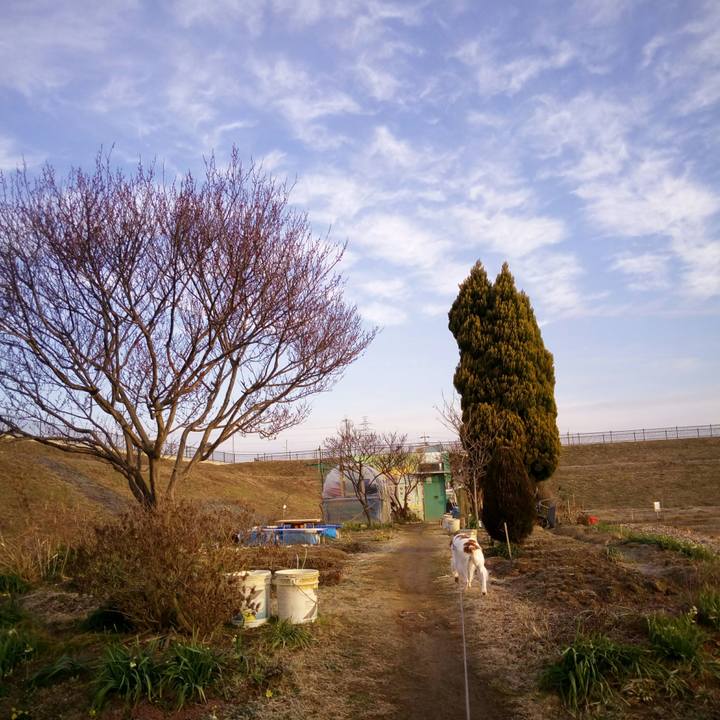 73088dbe fe9c 4042 ad0d 1af02ce8c7e9 1518738858098