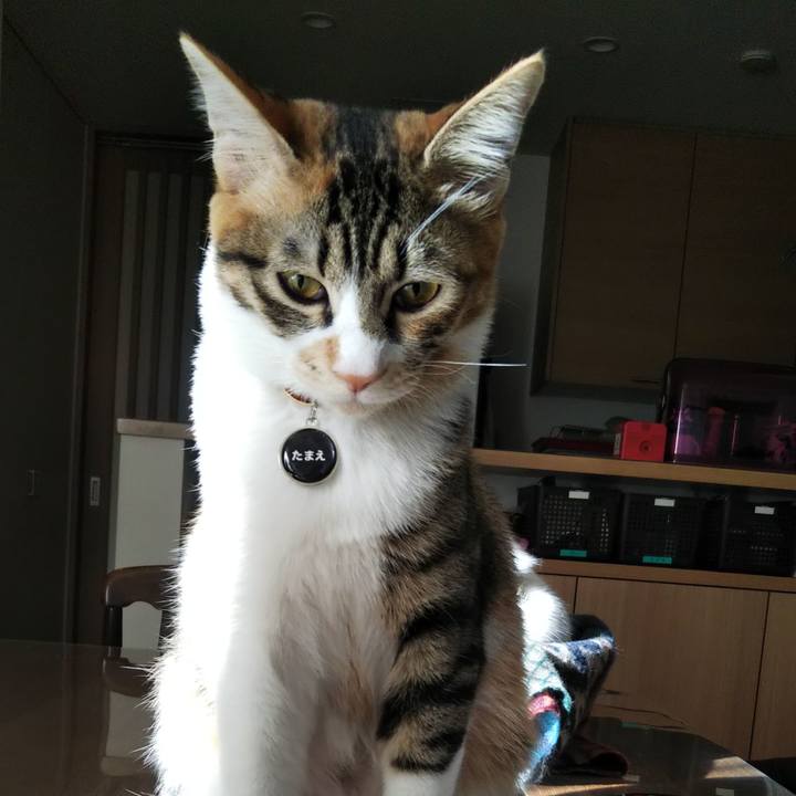 73088efb 5c96 4471 9b71 aae219702215 1641189764266