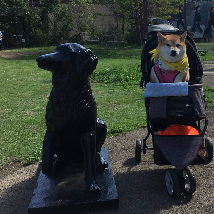 730894a8 b5f8 4c7c 9170 532b848f96fd 1567338092672