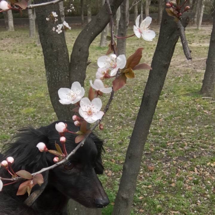 7308d069 4170 4b5b 83ca 4172d1d15ac8 1521411116345