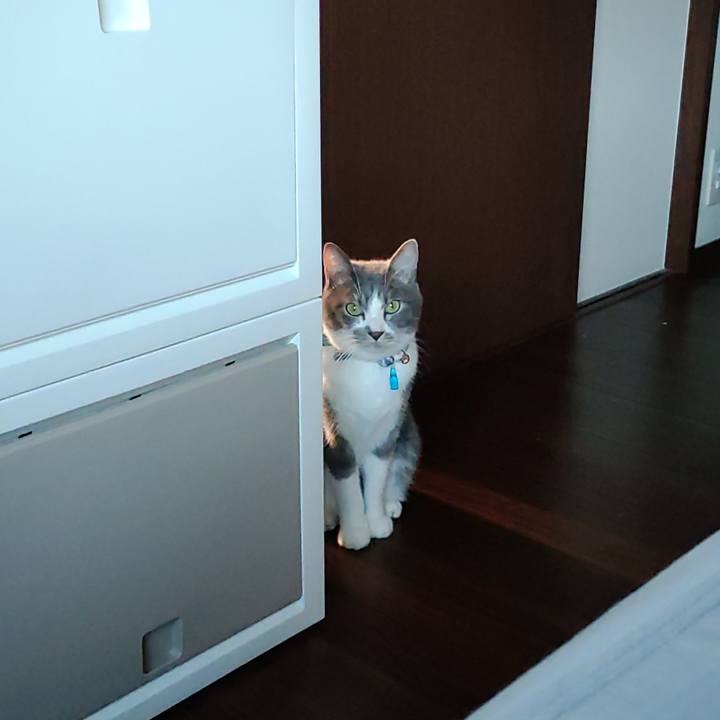 7308e975 fded 4859 a515 6c08a1d42bbd 1667869131653