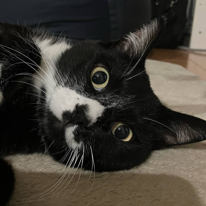 73097480 a767 466e 9e9a 0c2bcb21286c 1695181110910