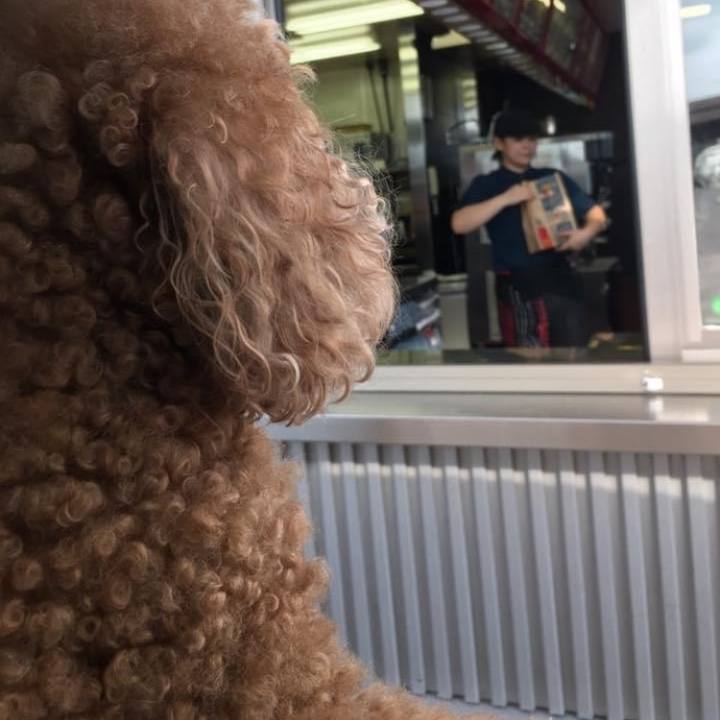 7309a00d 5e5e 40ed 8d42 eb0e5833e875 1599062108095