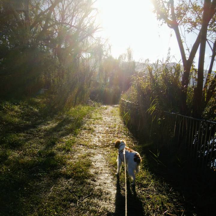 7309a861 28ce 427d adc2 8606877c6b7f 1538096271840