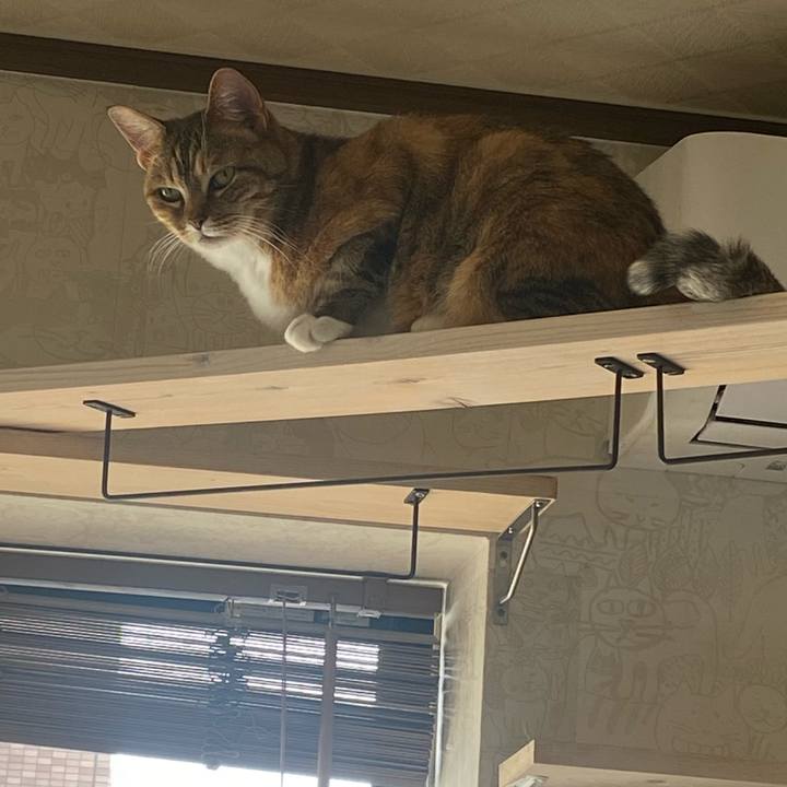 7309bbb2 0782 46c9 ba58 f8cfb7d82aae 1617458706452