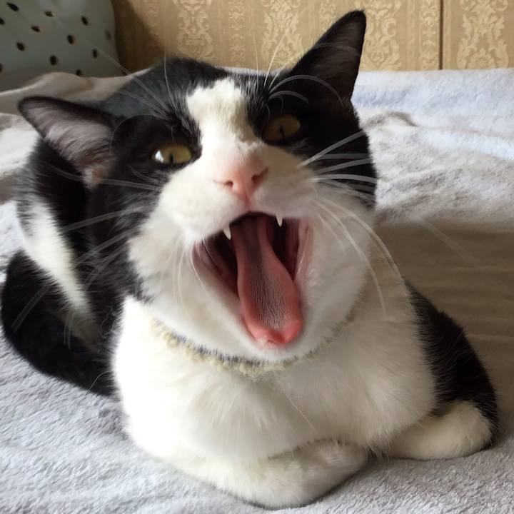 7309f4a4 ac8d 4aa5 919e c8fea6be25a4 1655084182305