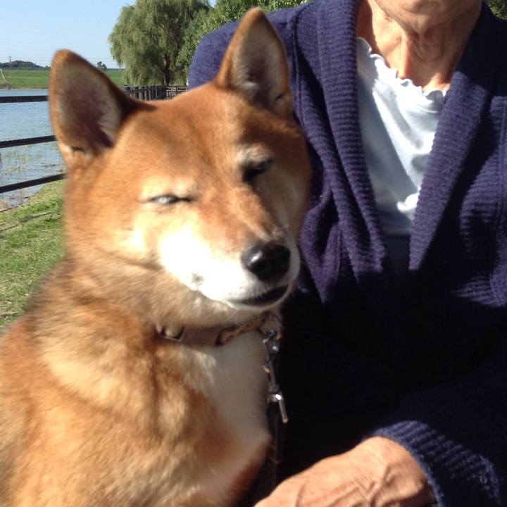 7309fe90 dbe3 43e9 abd1 58694c9ecb77 1509004471142