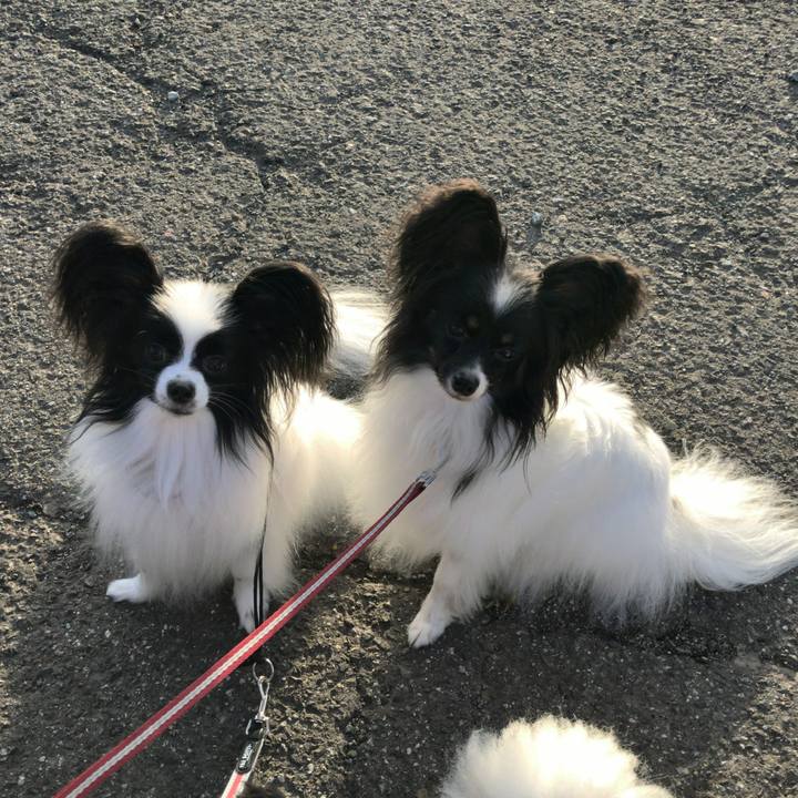 730a0530 4165 4597 85e1 44448641f859 1534595664305