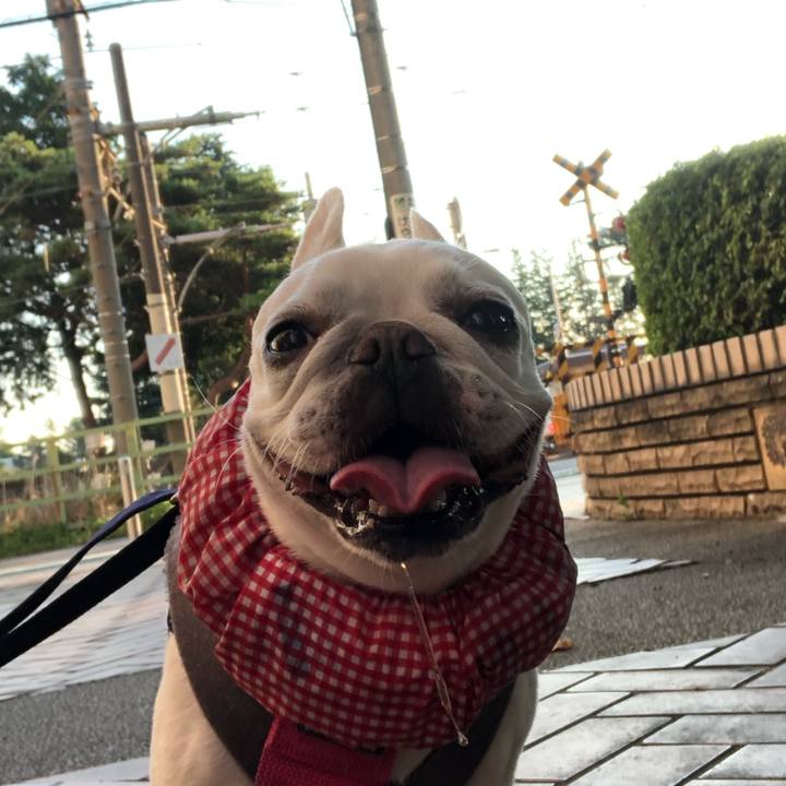 730a1994 2d25 495a 9843 4d2403bfb2fd 1626991894792