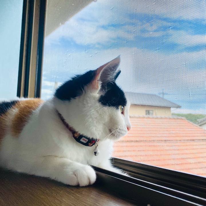 730a4bab a9de 4d4c 90a3 9de85d8a366c 1659264777276