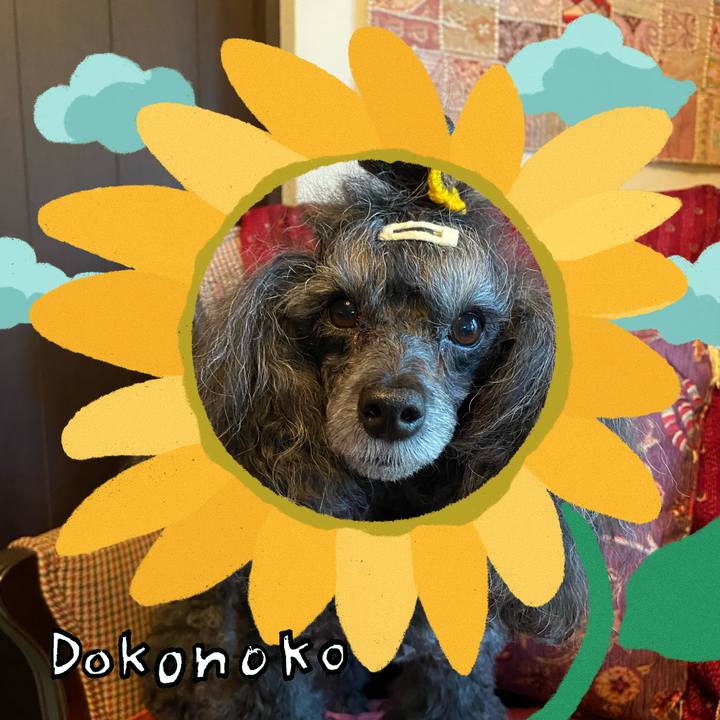 730aa136 9118 4af4 992f 84614d442b90 1723509450413