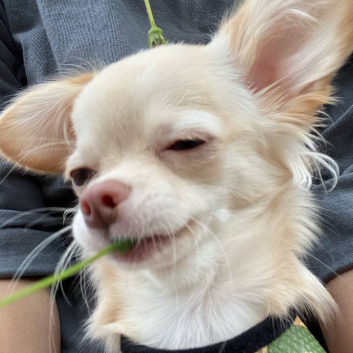 730ac3a0 7a9e 49fd 9d5c 2ab232db4ab2 1601972511331