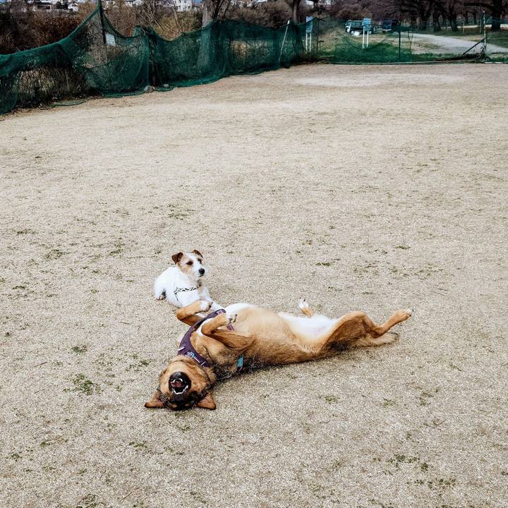 730add4d 8b26 45b4 bc1b 319f320e2869 1773538117415