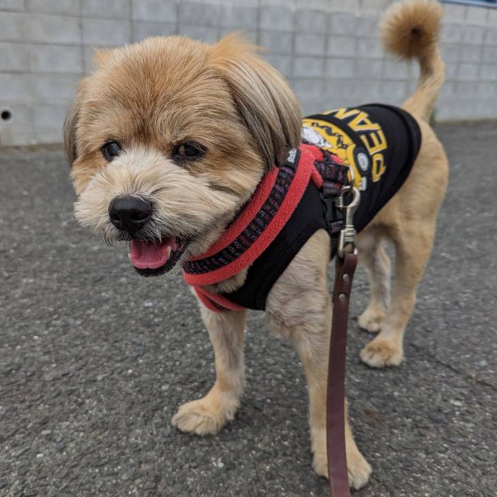 730b004b 2c36 45aa b132 be33324fb20f 1683200066575