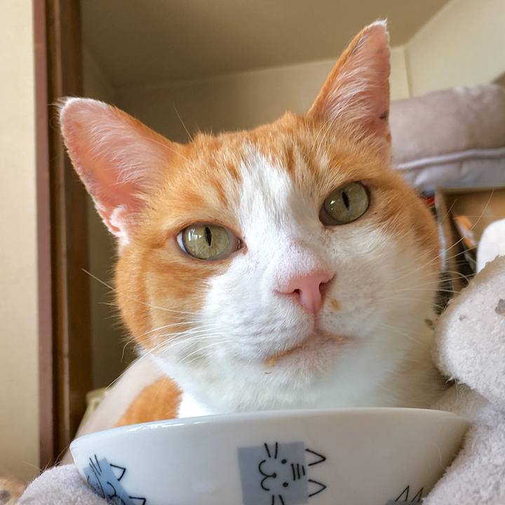 730b009e 4b76 4e41 b040 d0230f03a183 1619074730423