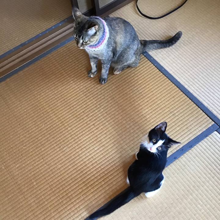 730b3a49 cd76 46eb b1fc a7f164c28257 1626590589865