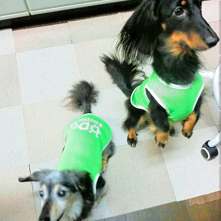 730b3bac 6dec 4fb0 8321 a1dcf2fae4f1 1530926781222