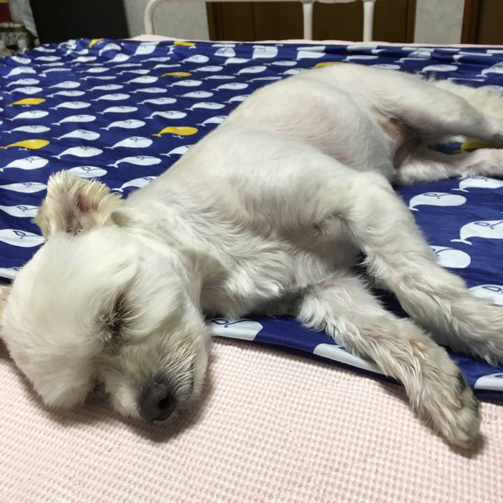 730b4665 58f1 40d1 beab ae256ff99c86 1533380421802