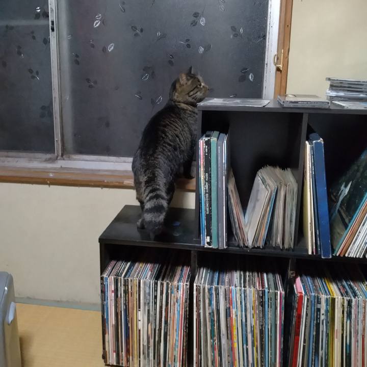 730b9af4 9cea 4ba1 acf5 ae1bf0b69b6e 1669021862875