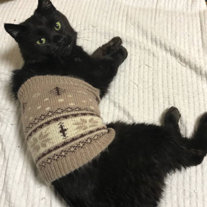 730ba7c9 e0ca 4e46 936d 7c7a2954afd1 1634464701916