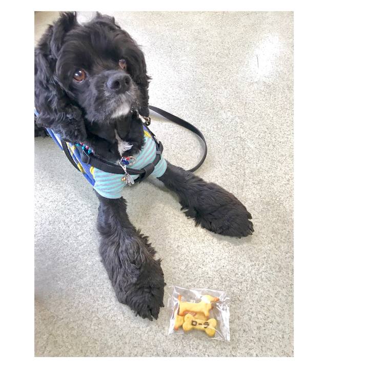 730be64b 7b13 4643 8400 c7ff4024d745 1556610978328