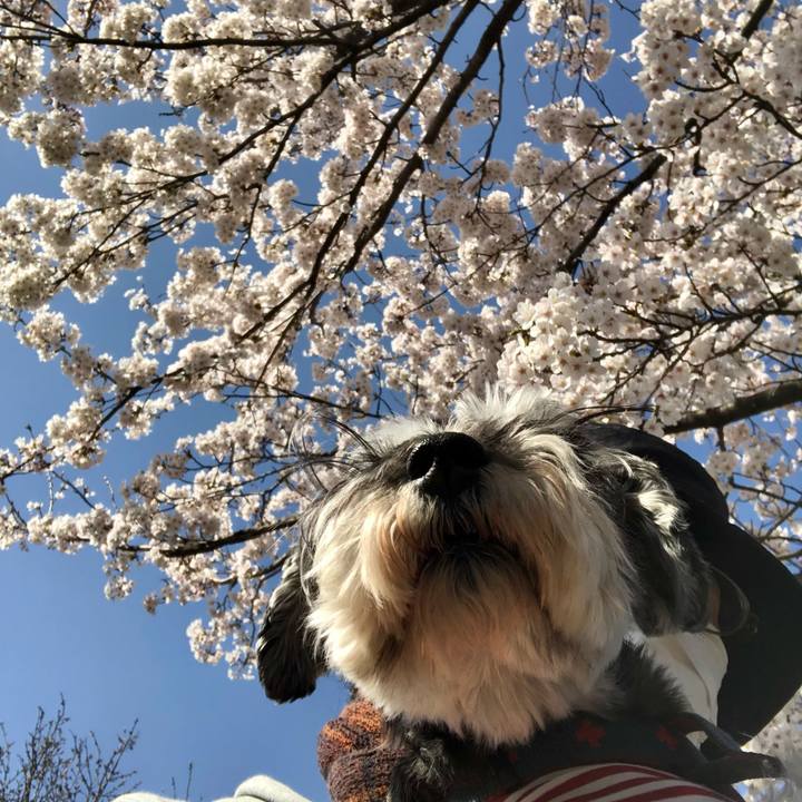 730c0d6c 8112 4432 8997 da0968d29012 1649482422863