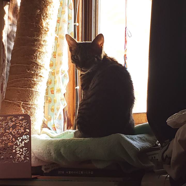 730c3375 0748 4277 bca7 0eab048d490c 1542061860455