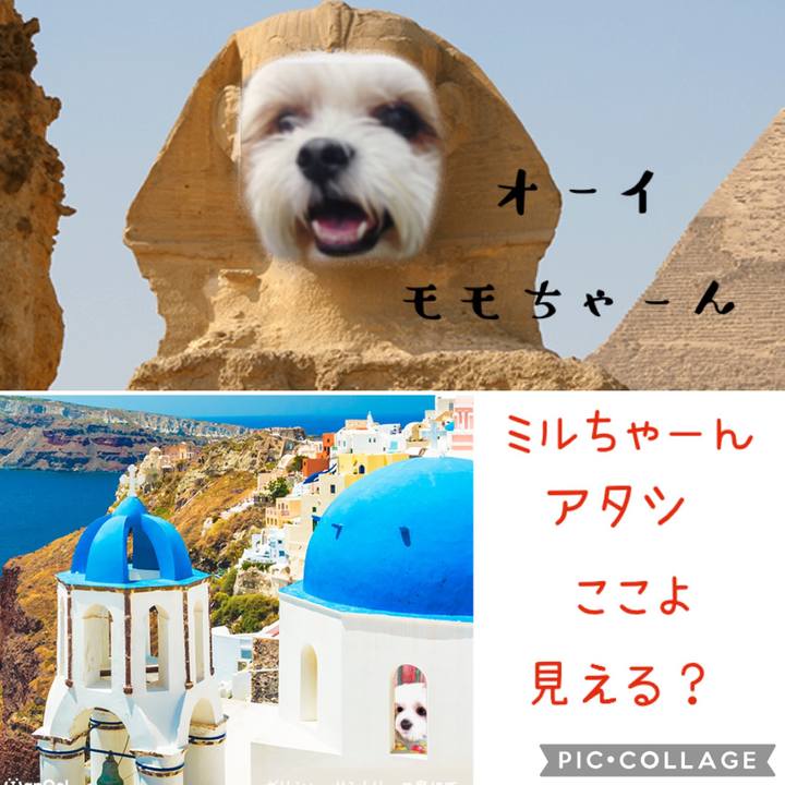 730c3d5d f911 4bc1 a589 6e8d78c7b3d5 1615341829115