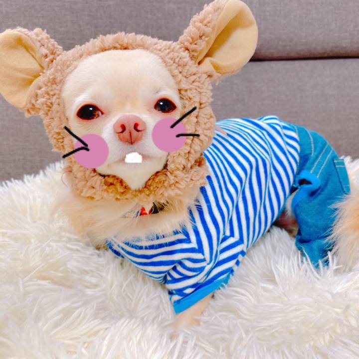 730c42e8 5a5d 47c3 bf53 954909b8ee4a 1638967887711