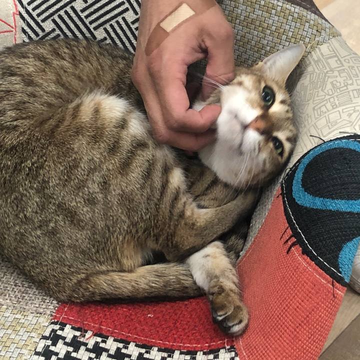 730c4925 e430 4957 8ffc ccd09ea43d23 1649460859074