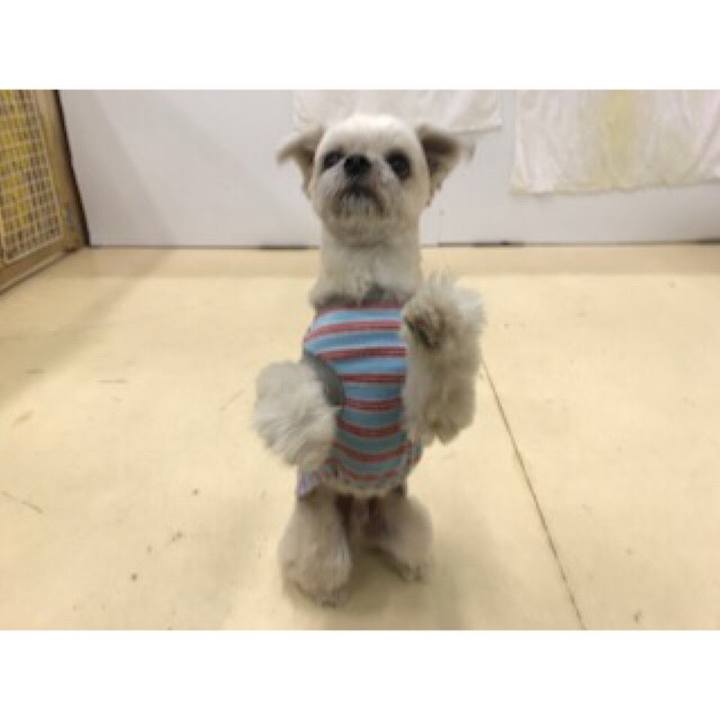 730c9905 2625 43f9 8ebc 5aeb541761d7 1552989497602