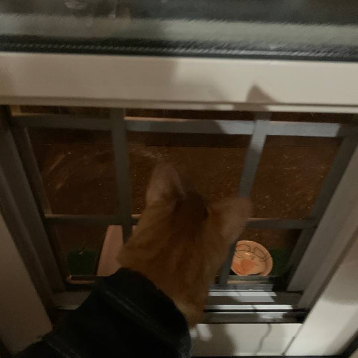 730cae24 5efb 4563 ad95 ddf885e90dad 1657398906175