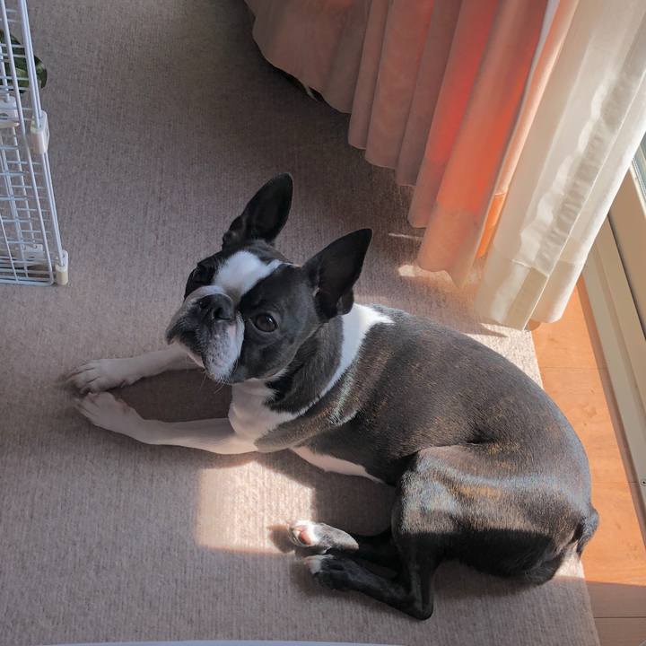 730cfd04 5ab1 438c 9af6 73a8b3133a34 1614825721452