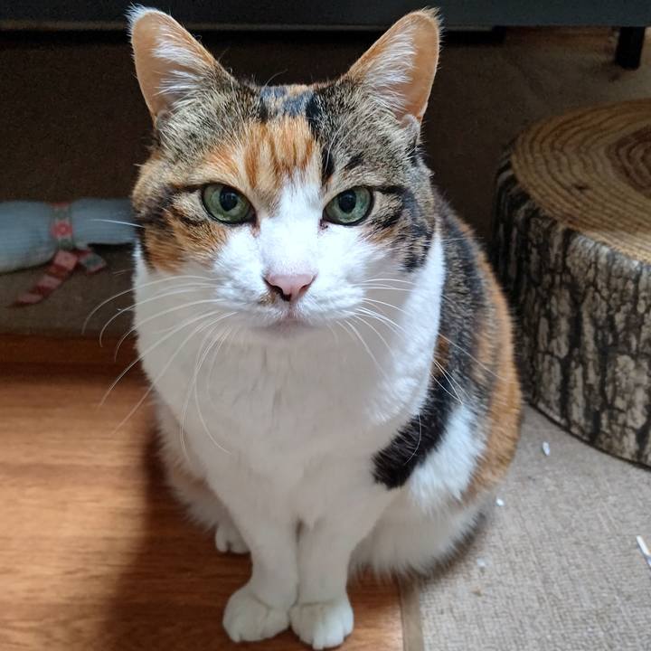 730d087f f495 4f9a 8663 e98c7dd5dab0 1644669830174