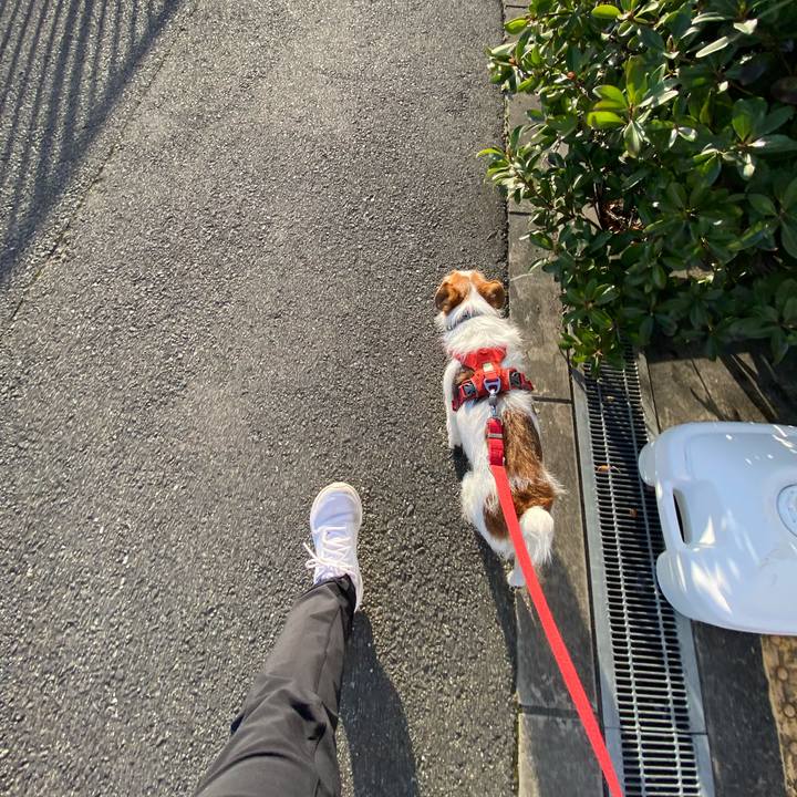 730d16a3 e1a7 41d9 bb91 c0a86f99d211 1743373390445