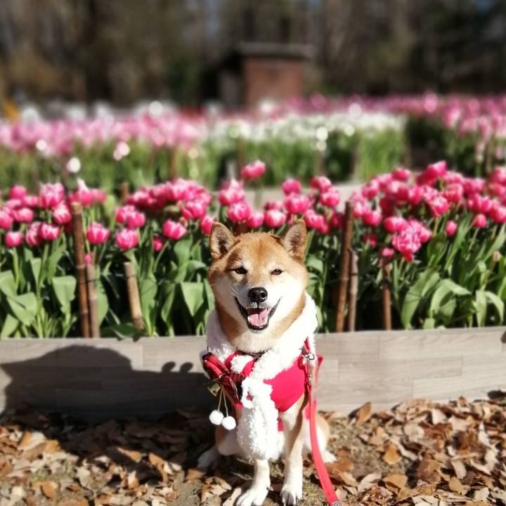 730dbc18 9cef 47c5 9fb6 0b5f8c0b1f2b 1640000308059