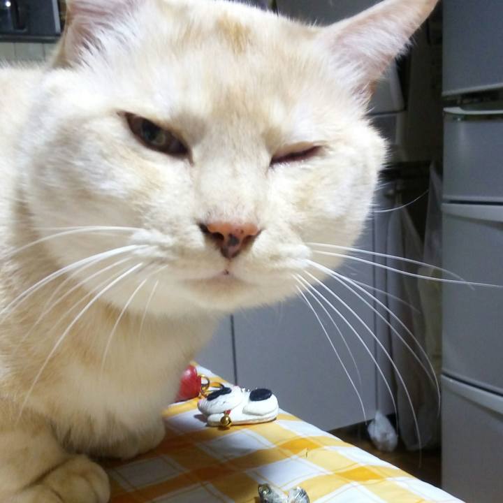 730dcad2 b325 4faf 99f4 6de4ca4646d2 1520933123051