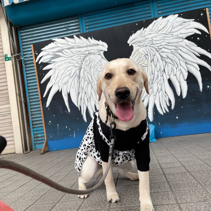 730de3c9 d283 4776 9d42 5e03b5538eb9 1643698561363