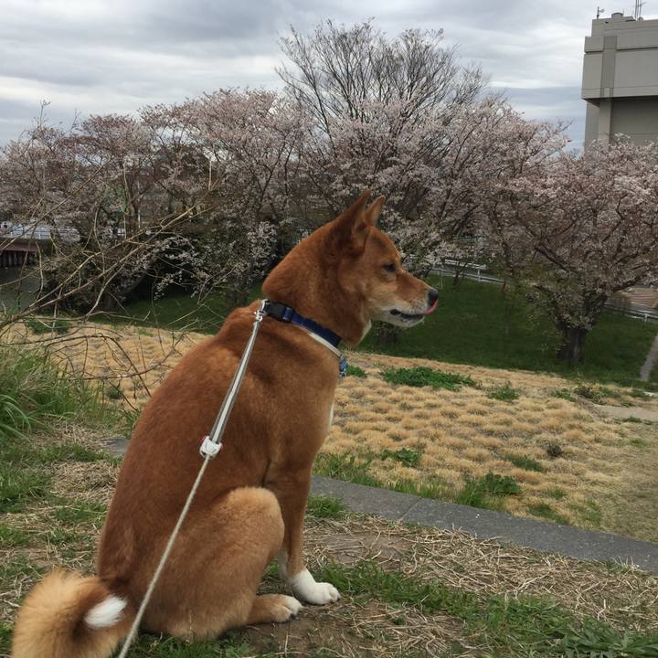 730e0143 72d2 4e87 948d 7c0d4c6d292e 1586069528974