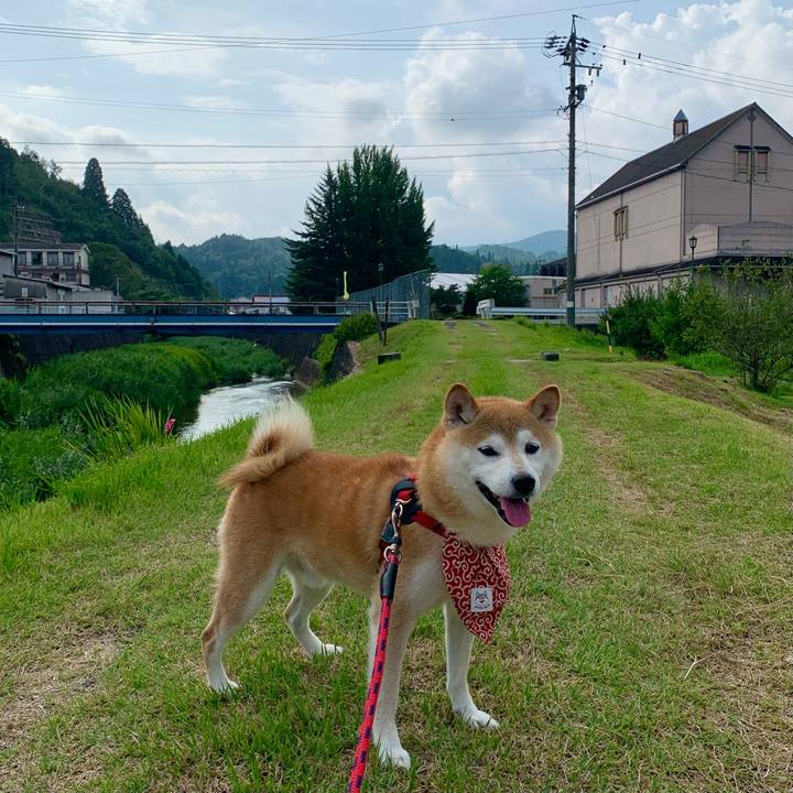 730e0f99 6d24 40d0 ba20 e8bfdabb7125 1661163760444