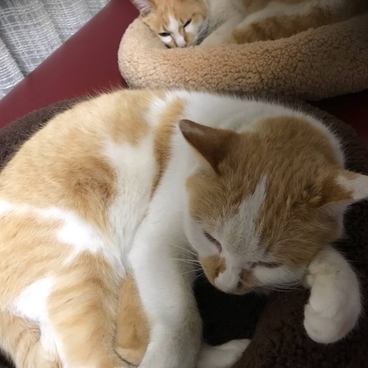 730e1a76 df2a 4be4 957a 57dafdbc84ce 1551274498472