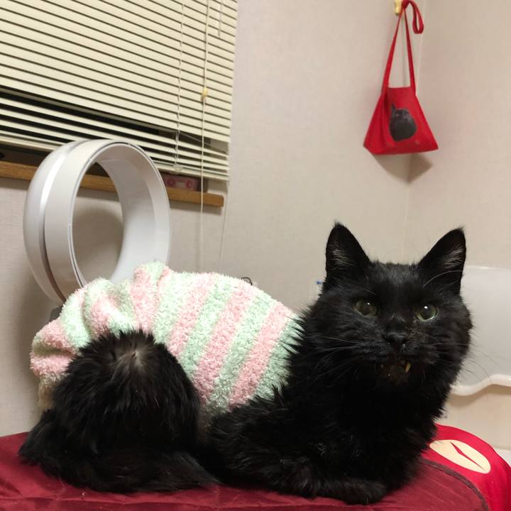 730e43d0 13b5 4494 a810 80e99a103de0 1645885210179