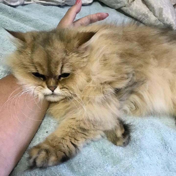 730e5326 9d87 42f9 8f84 71ccafcc070d 1556438432592