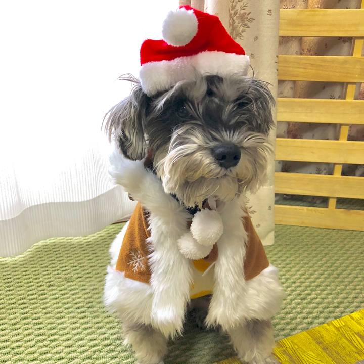 730e56b4 db6e 49d3 bd71 920479dc030d 1514084336281