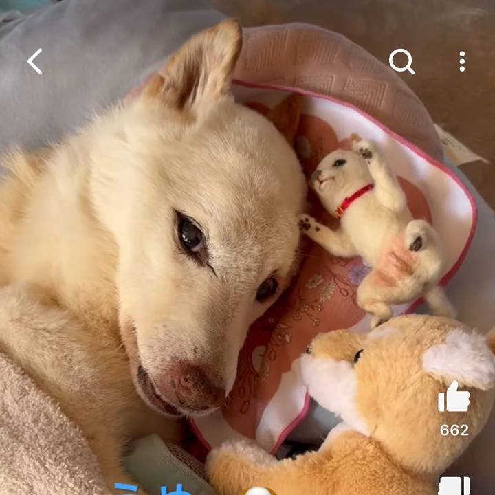 730e65fc 704a 46a5 8a7a 4e701b5d50e2 1708303806298